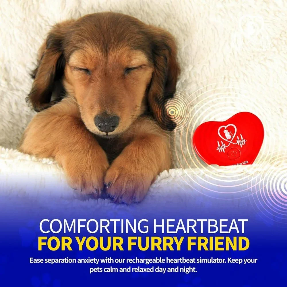 Rechargeable Red Heartbeat Simulator with USB Cord – Long-Lasting Heartbeat Toy